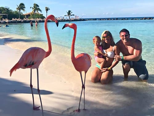 A family of three sits on the beach behind two flamingos, while exploring Iguana and Flamingo Beaches in Aruba.
