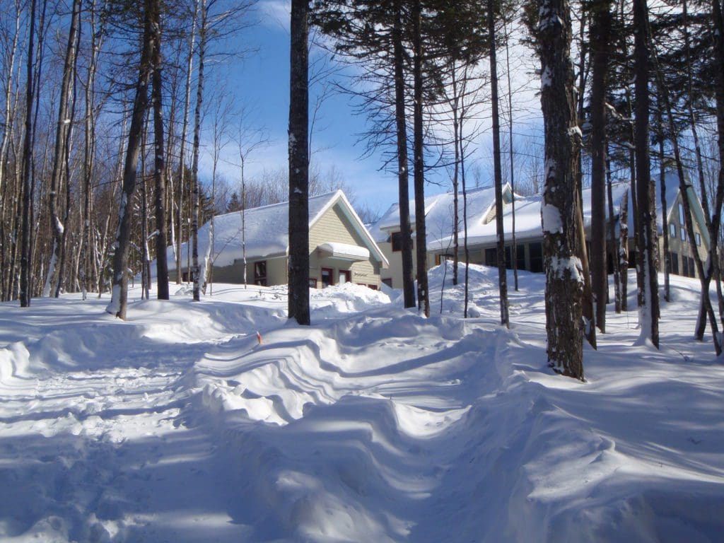 Snow-covered trees and buildings at the Maine Huts & Trails on a sunny, winter day. It's one of the many tips on our family guide to skiing the Maine Huts and Trails 