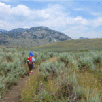 Child hiking trail through Yellowstone National park.