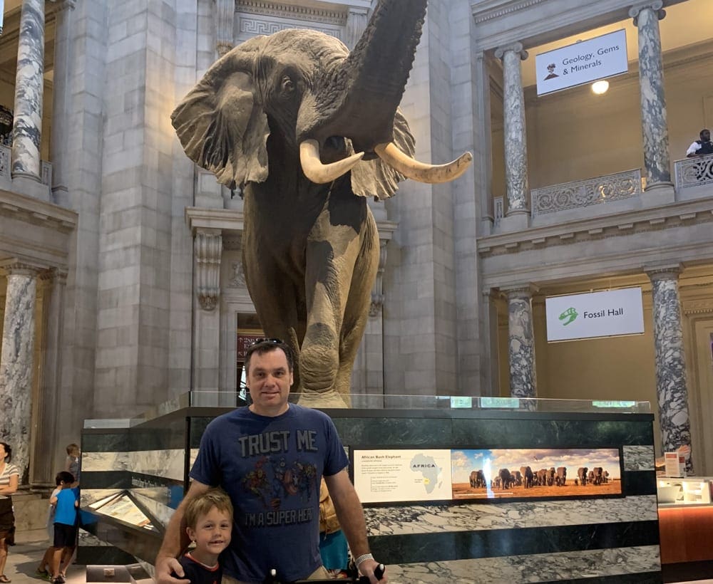 A man and his son stand in front of a large elephant at the Smithsonian National Museum of Natural History.