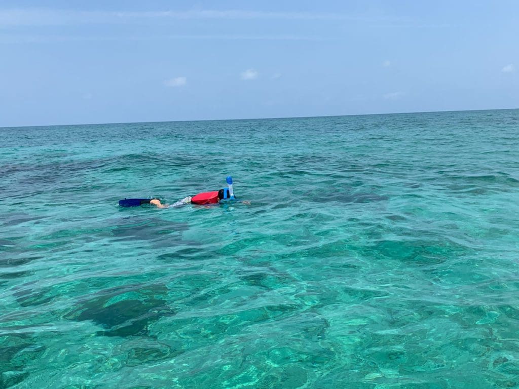 A young boy snorkels in the water near Punta Faro.