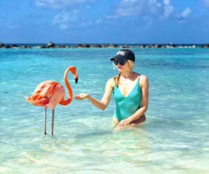 A woman in blue bathing suit and cap holding out hand to flamingo, while wading in the ocean near Aruba.