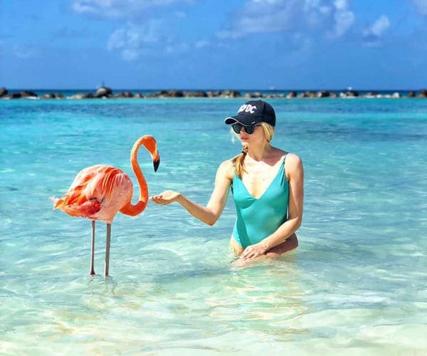 A woman in blue bathing suit and cap holding out hand to flamingo, while wading in the ocean near Aruba.