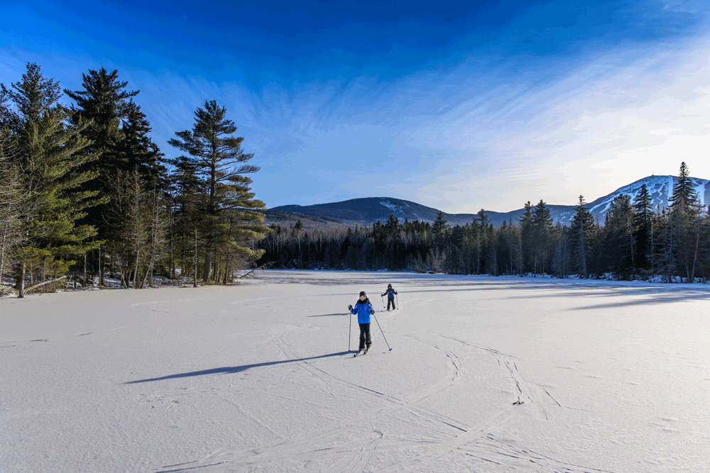 Children cross country skiing in the snow.