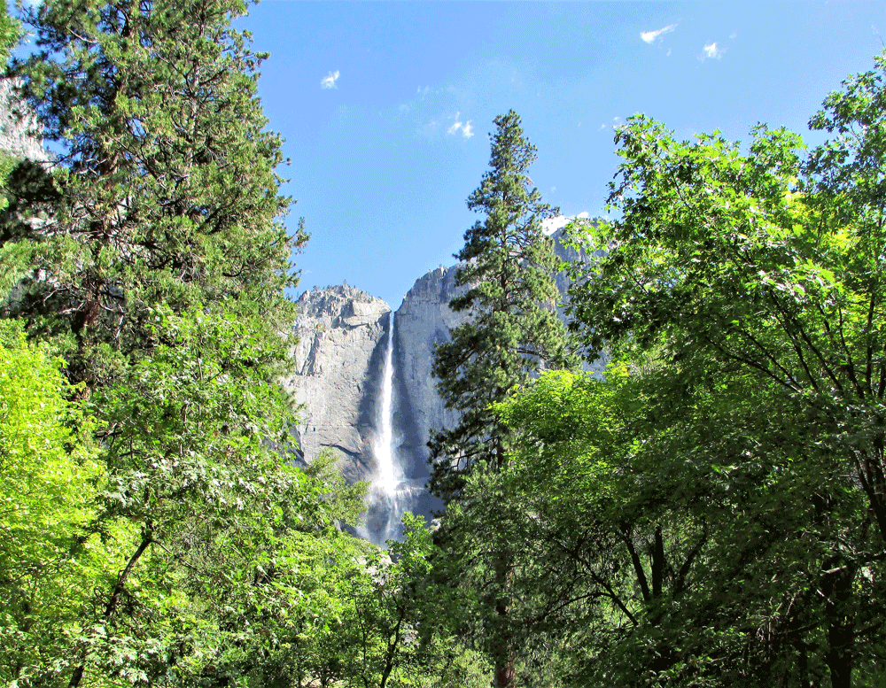 A waterfall peaks through the trees at Yosemite National Park.
