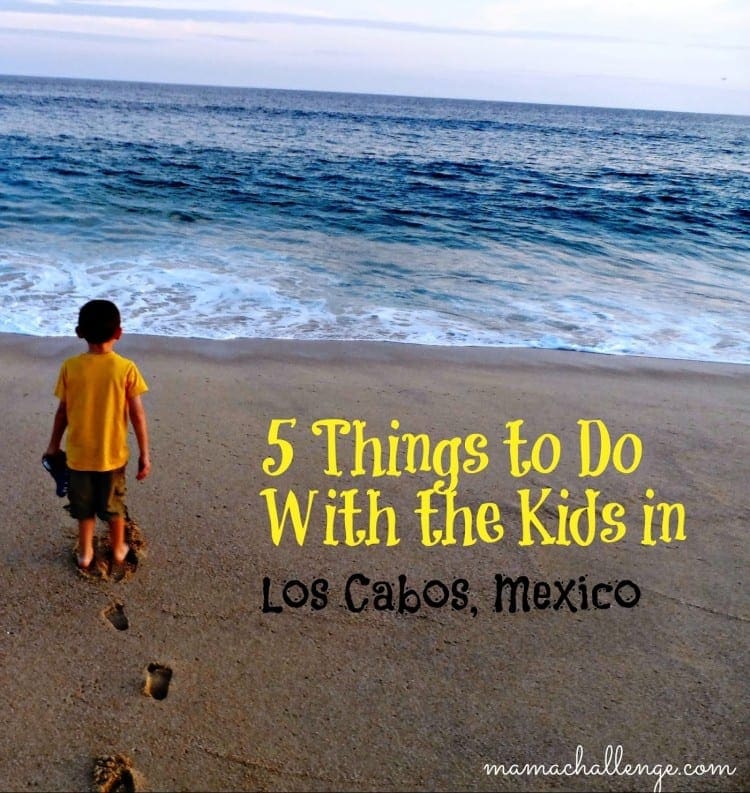 Mama Challenge blog on 5 Things to do in Los Cabos with kids.