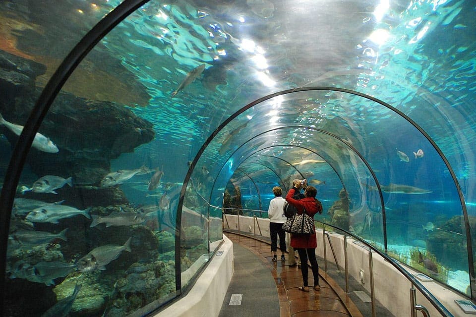 Several people walk down a tunnel aquarium filled with fish at The Barcelona Aquarium.