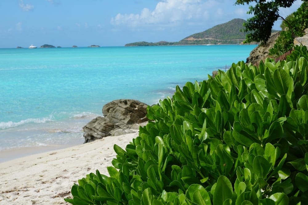 Antigua beach (Photo from NeedPix)
