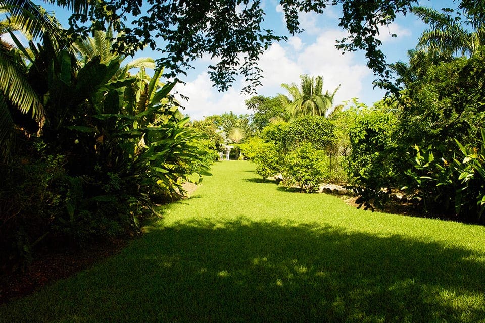 Inside the beautiful Queen Elizabeth Royal Botanic Park, one of the best things to do in Grand Cayman with kids, featuring lush green grash and foliage.