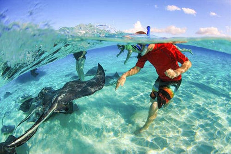 A young child wearing snorkeling gear reaches in the water to pet a stringray at Stingray City, one of the best things to do in Grand Cayman with kids.