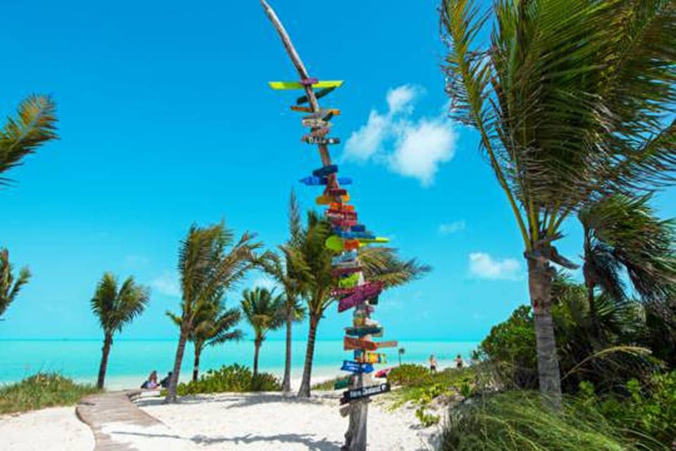 Colorful signs line a palm tree trunk in Grace Bay in Turks and Caicos.