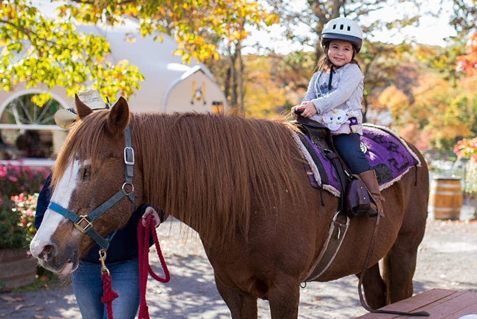Little girl riding atop a horse at Rocking Horse Ranch.