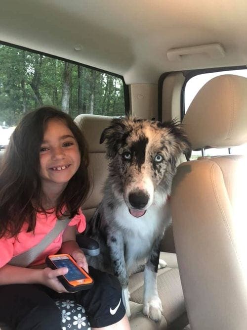 Girl and dog ride in backseat of a car.