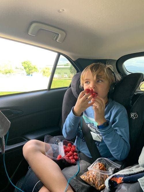 Boy in car seat enjoys eating raspberries on a road trip.