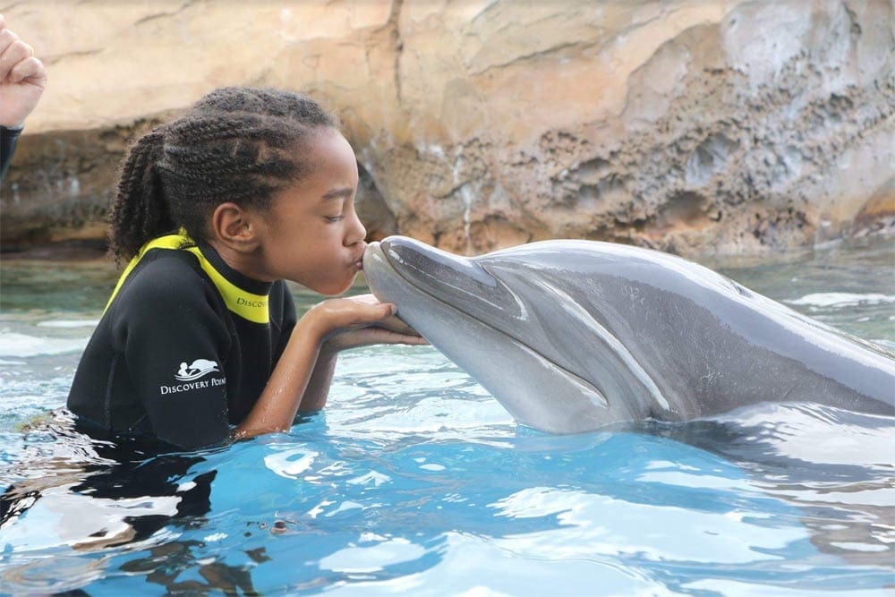 SeaWorld San Antonio girl kissing dolphin