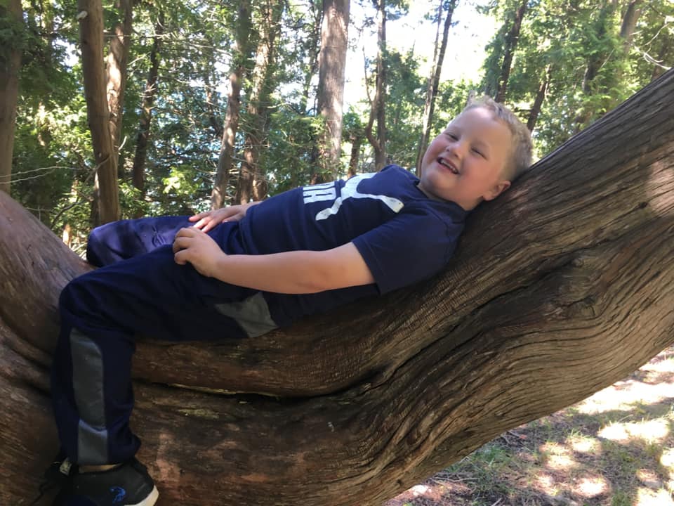 Little boy lying on the tree at Fayette Historic State Park, one of the 10 Best Midwest State Parks For Families