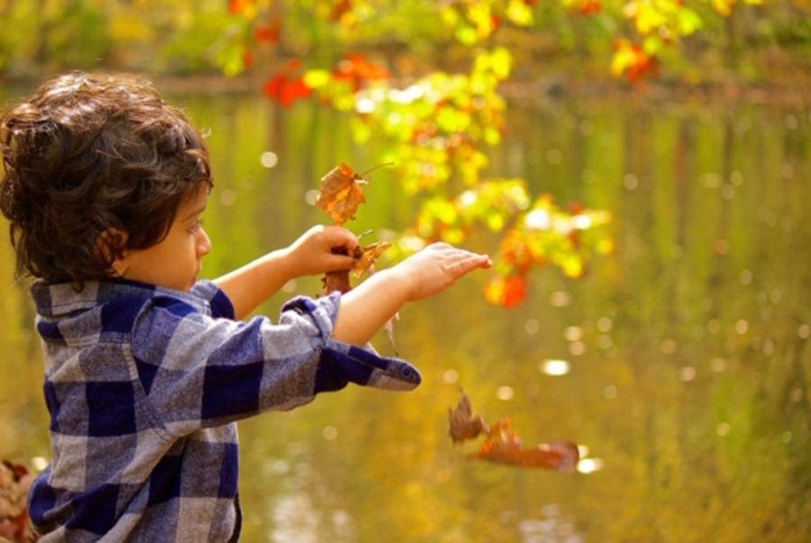 A small boy reaches out his little hands to play in the fall leaves falling from the sky.
