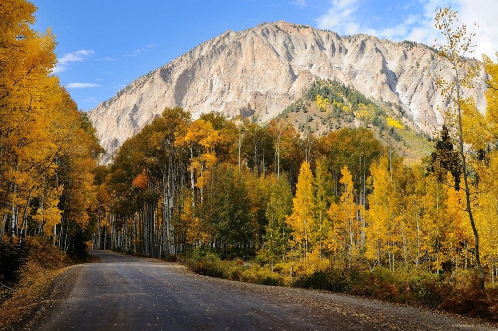 A road littered with golden leaves rolls between golden trees, while a white mountain looms in the background. Taking an autumn drive is one of the best fall activities in Colorado with kids.