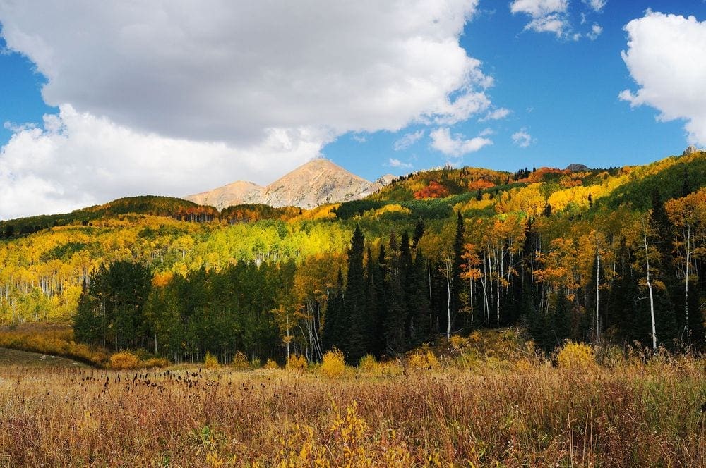 An expansive view of Keebler Pass, featuring a stunning array of golden, auburn, and other fall colors.