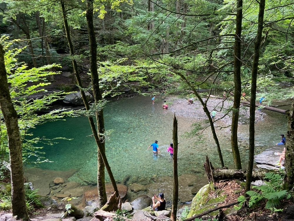 An aerial view of Peekamoose Blue Hole, one of the best family-friendly beaches in the Catskills, featuring its clear, sparking waters, several lush trees, and a few swimmers.