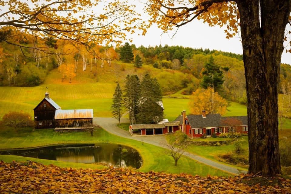 A sweeping view of a Vermont farm, complete with house and barn, surrounded by brilliant fall foliage.