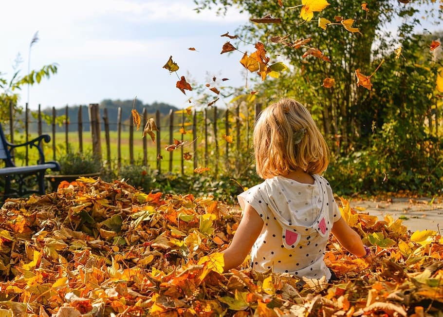 girl playing with leaves during fall in Colorado