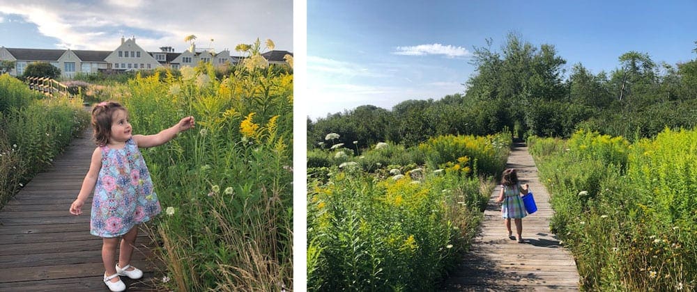 Left Image: A young girl reaches out to touch a yellow flower while walking. Right Image: A young girl meanders down a boardwalk on a sunny day in Maine.