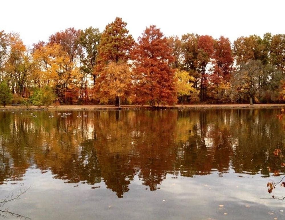A shimmering lake reflect golden and auburn hues of fall at the Greenbet Conservancy.