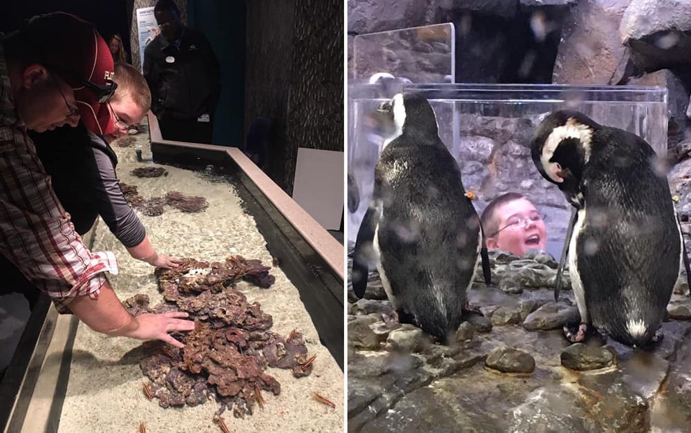 Left Image: A dad and his small child reach into a touch tank at the Georgia Aquarium, one of the best U.S. aquariums for kids. Right Image: A boy peaks his head up into a penguin tank at the Georgia Aquarium.