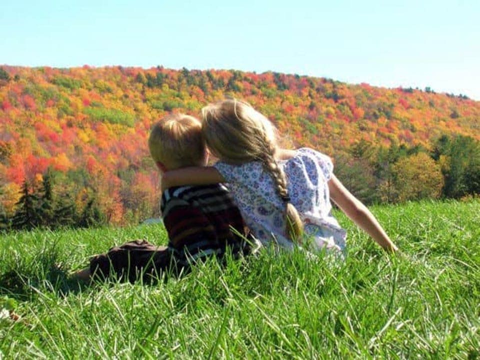 A young girl puts her arm around her younger brother while they admire the colorful fall leaves.