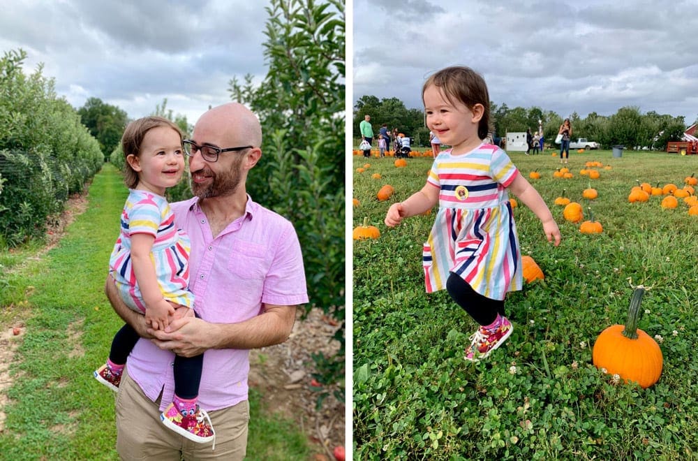 Father folding a little girl in her arms  in the picture  on the left and little girl running on the right in a pumpkin patch