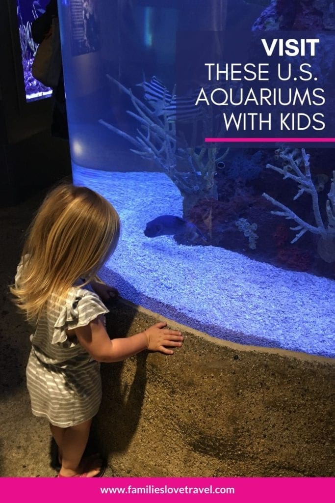pinterest poster for 7 Best Aquariums in the United States for Families