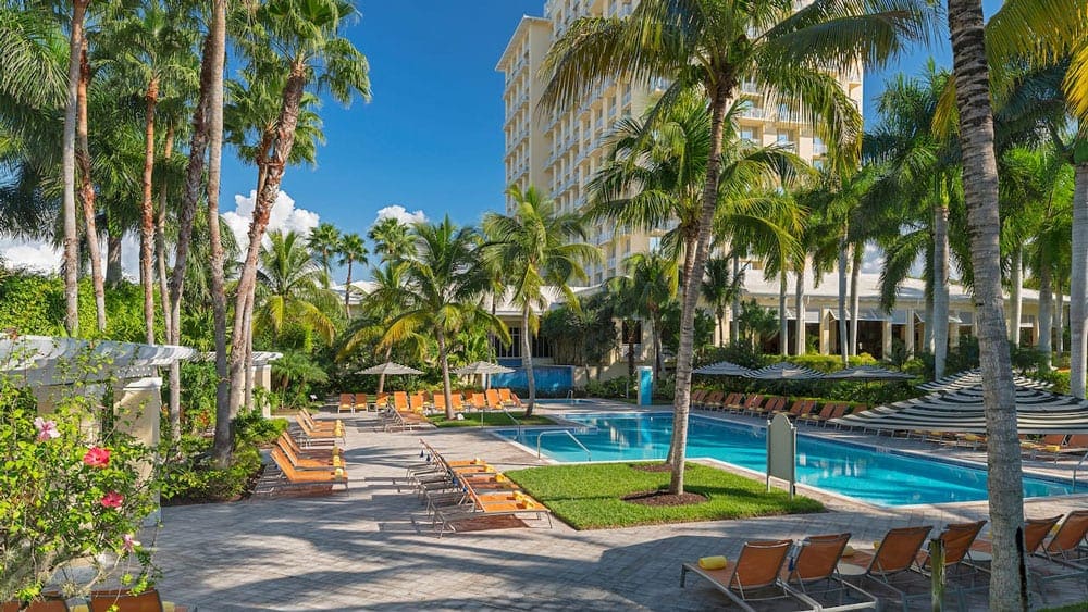 The adult pool at Hyatt Regency Coconut Point, Bonita Springs, one of the best family resorts in Florida, surrounded by palm trees on a clear blue day.