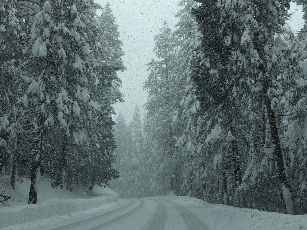 A winter sceen with a snow-covered road and snow-covered evergreen trees.