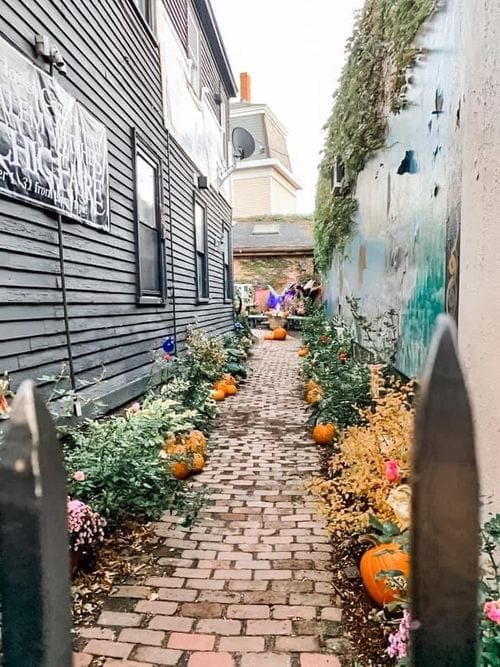 A long alley in Salem, Massachusetts is decorated with pumpkins and fall flowers.