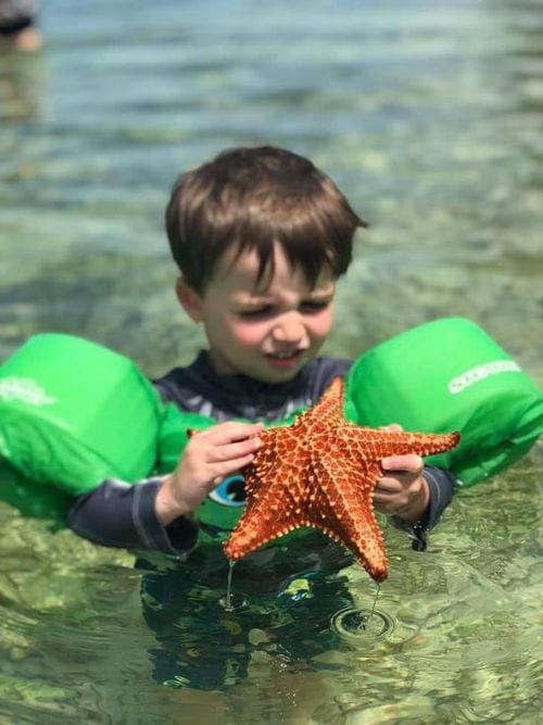 A young boy wearing green floaties holds a starfish at Starfish Point.