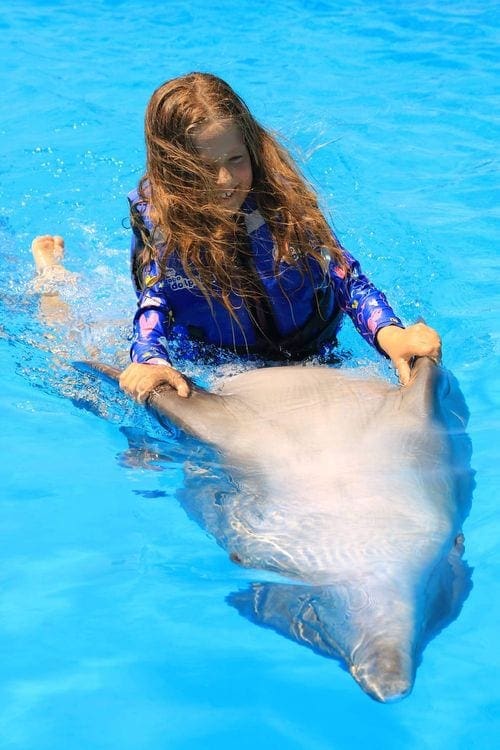 A young girl swims in a pool with a dolphin.