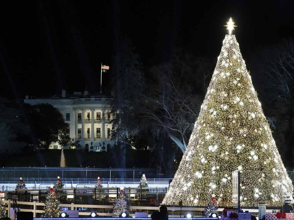 The National Chirstmas tree stands proudle in front of the White House at night.