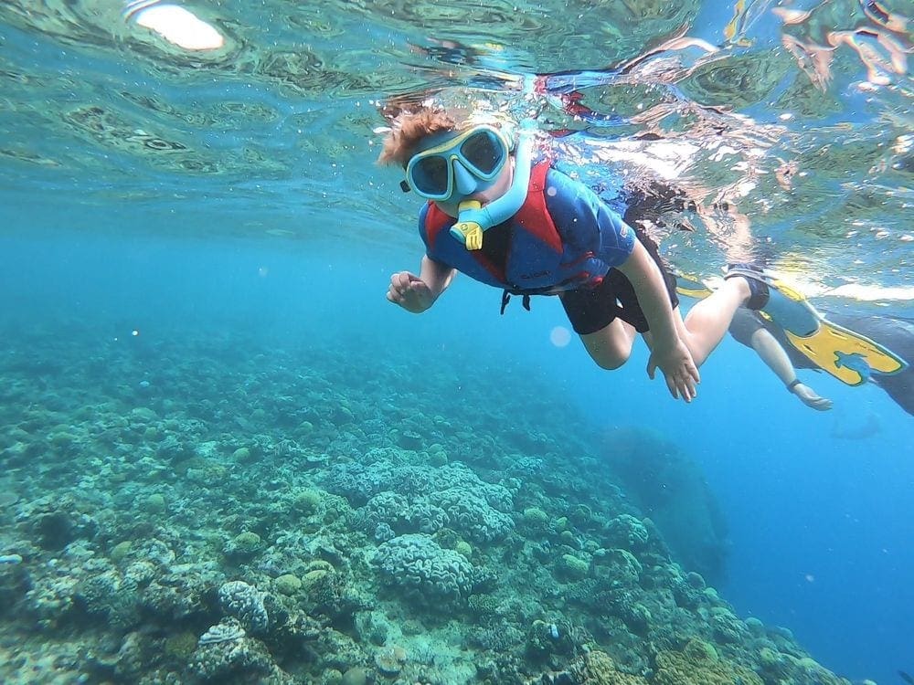 A young boy snorkels in Mushroom Reef near Fiji. A great location is one of our tips for snorkeling with kids.