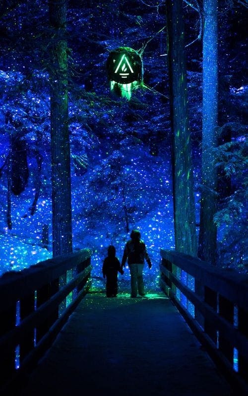 Two kids look up at illuminated features while exploring Vallea Lumina.