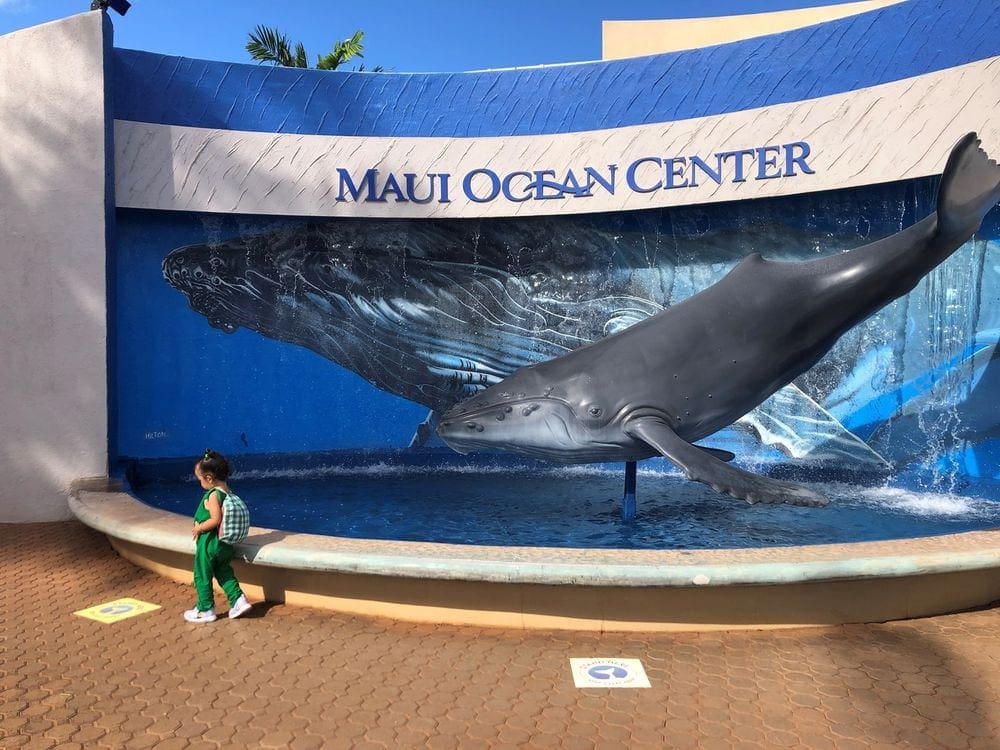 A toddler walks along an outdoor sculpture of a whale at Maui Ocean Center, The Aquarium of Hawaii, one of the best things to do in Maui with kids!