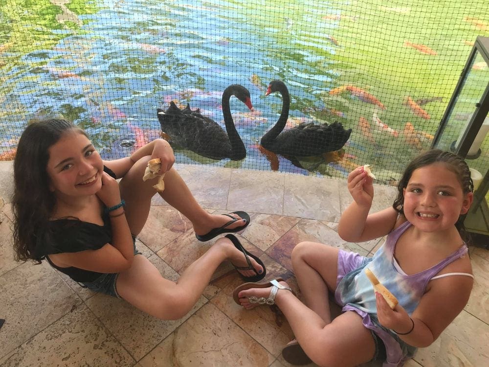 Two girls sit and feed the swans at the Hyatt Regency Aruba.