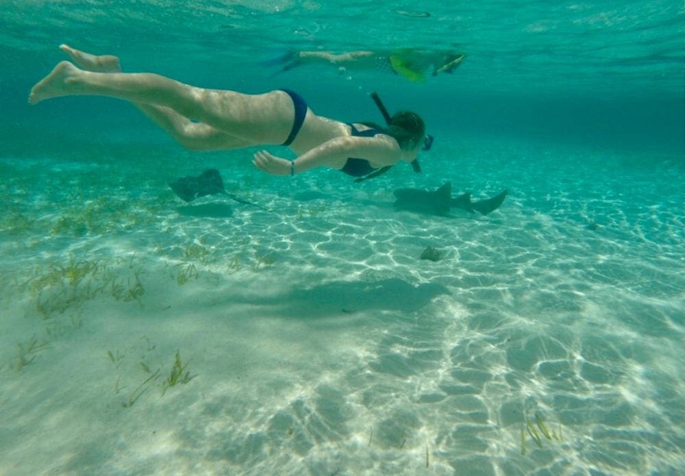 A woman snorkels in shallow water with sting rays in Belize, which is one of the best places to snorkel with kids.