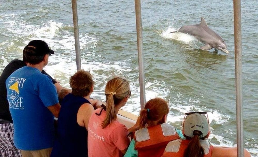 A family of six watches a dolphin from a boat during a Capt. Mike's Dolphin Adventure Tour.