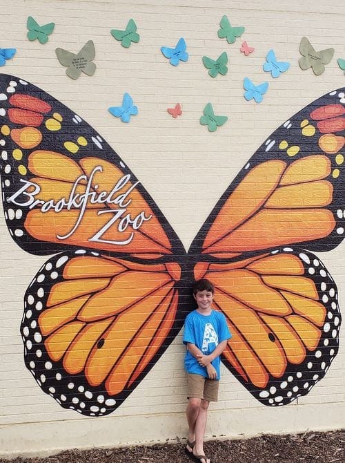 A young boy stands in front of a mural of a butterfly at the Brookfield Zoo in Chicago.