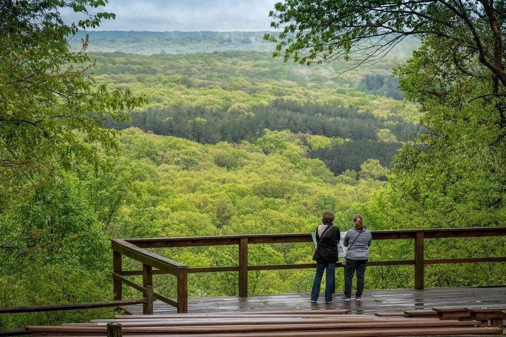 Two women stand on a platform overlooking a huge forrest of green trees in Brown County.
