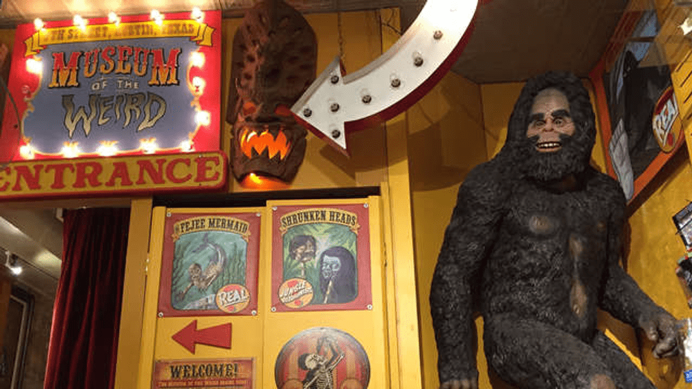 Inside the Museum of the Weird, featuring several signs and a large big foot statue.