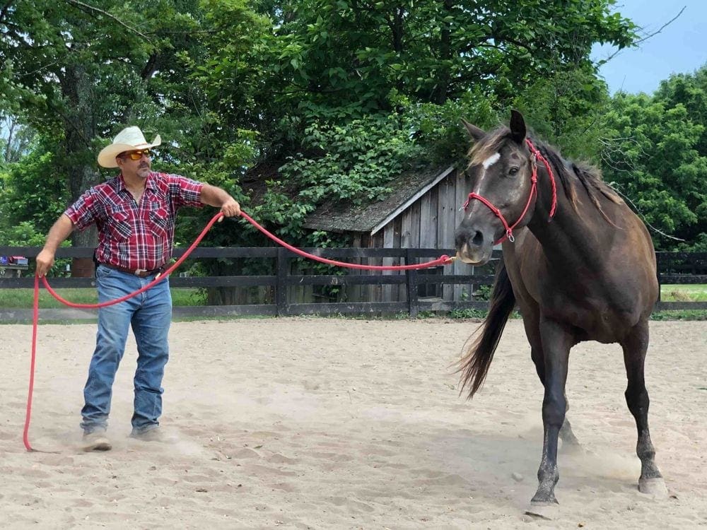 A staff member wrangles a horse during a demonstration at Pine Ridge Dude Ranch.