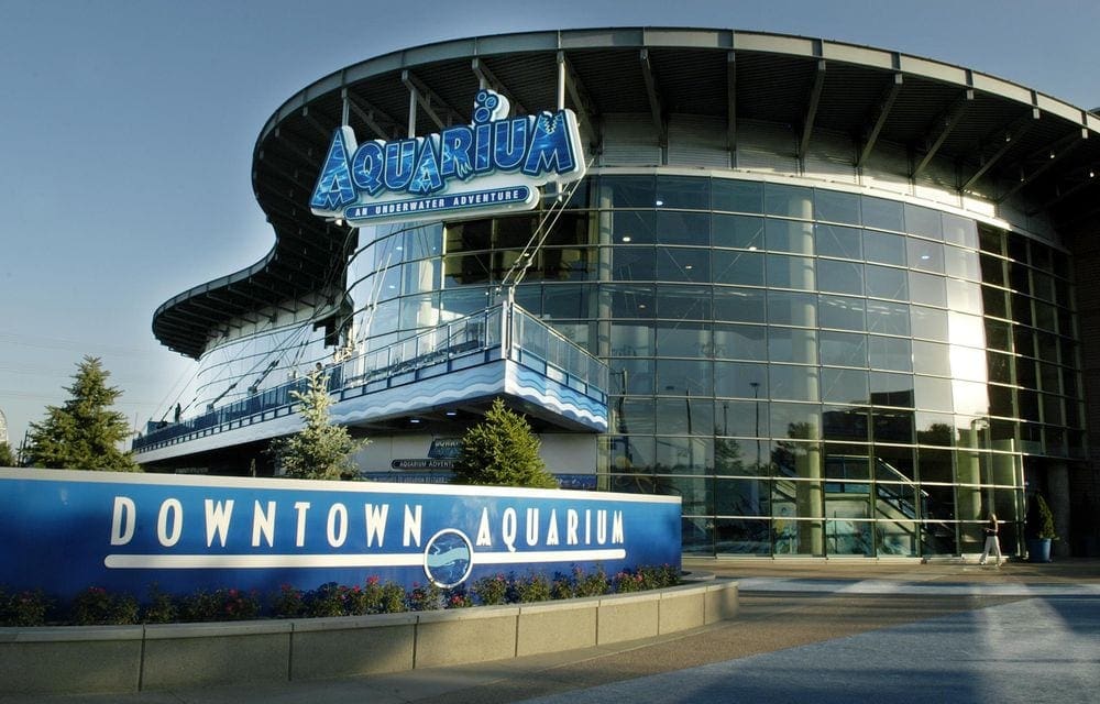 The front of the Downtown Aquarium - Denver, featuring a huge wall of windows.