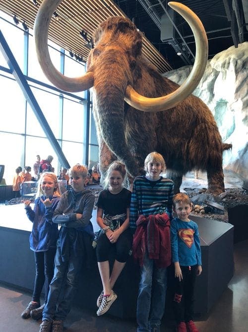 Five kids sit in front a giant mammoth exhibit at the Bell Museum, one of the best things to do in Minneapolis with kids.